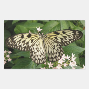 Paper Kite Butterfly Stickers