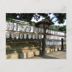 Paper Lanterns Outside Japanese Temple Postcard