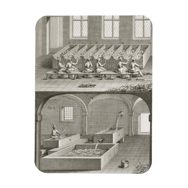Paper making, from the 'Encyclopedie des Sciences Magnet (Vertical)
