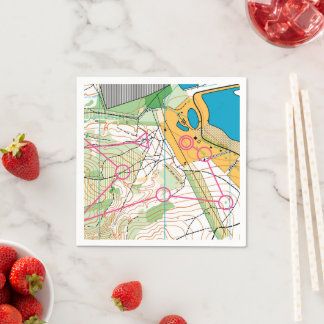 Paper Napkin - Orienteering map