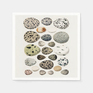 PAPER NAPKIN : VINTAGE BIRDS EGGS CHART