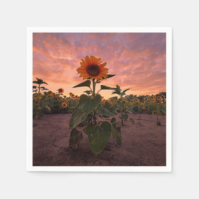 Paper Napkins (Front)