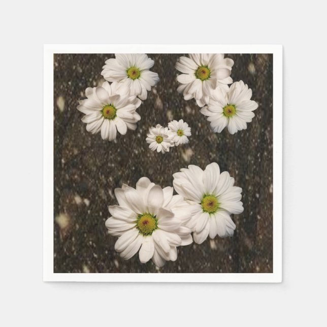 Paper Napkins (Front)