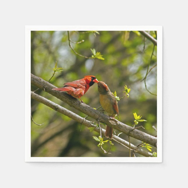 Paper Napkins, Kissing Cardinals. Napkin (Front)