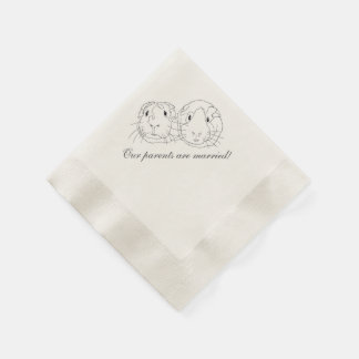 Paper Napkins, Standard Cocktail Napkin