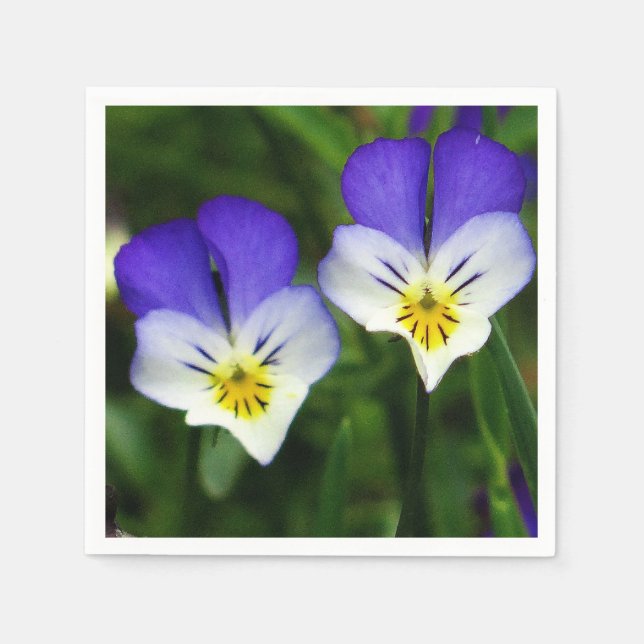 Paper napkins two cute blue violets (Front)