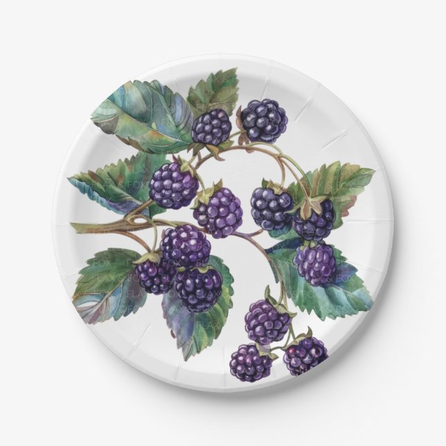 Paper & Party Plates (Front)