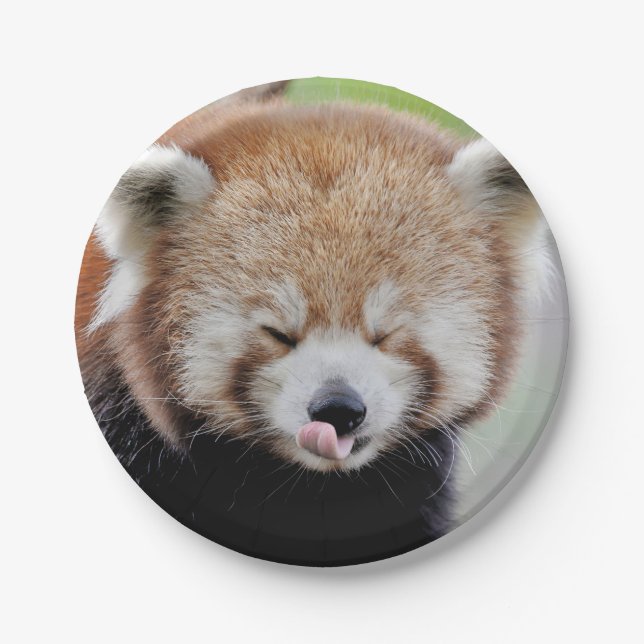 Paper plane Photo red panda 0471. Plate (Front)