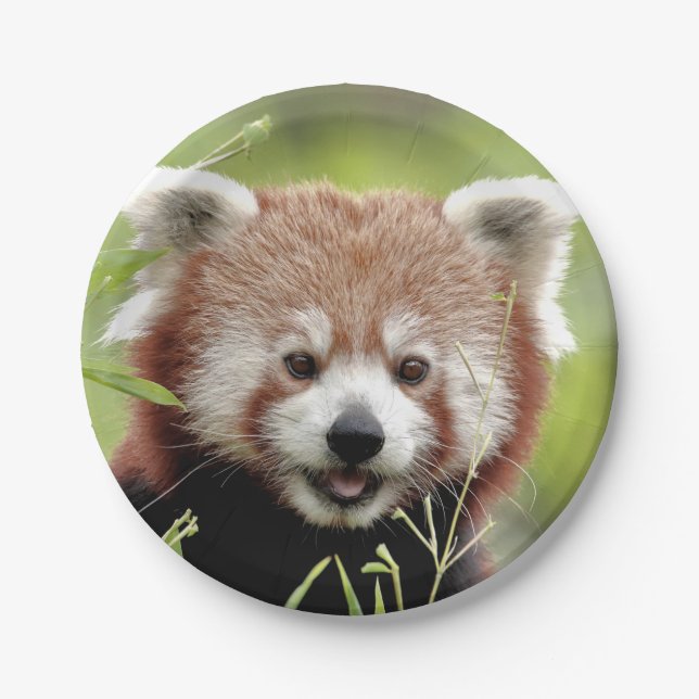 Paper plane Photo red panda 0472. Paper Plate (Front)