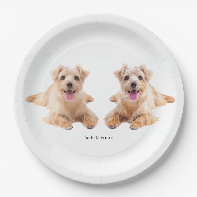 Paper Plate (Front)