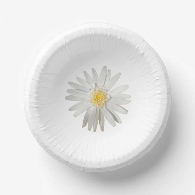 PAPER PLATE ART AND DESIGN (Front)