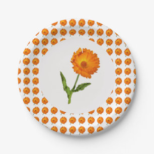 Paper Plate - Calendula