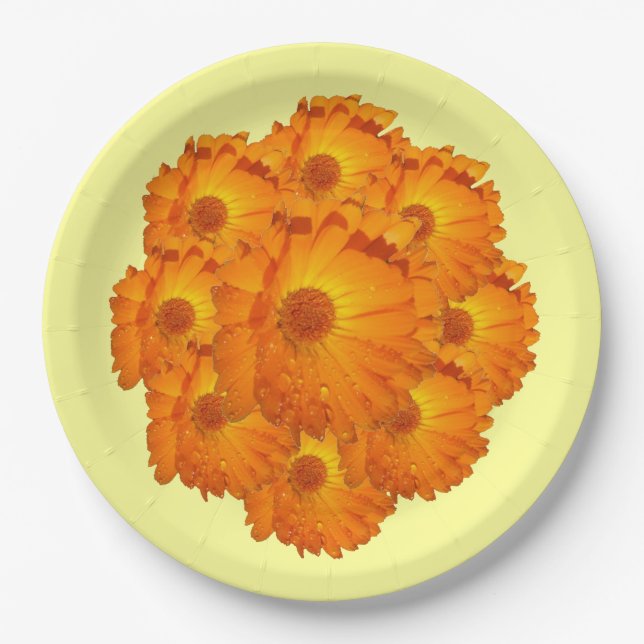 Paper Plate - Calendula Blossoms (Front)