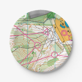 Paper plate - orienteering map