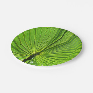 Paper Plate - Tropical Palm