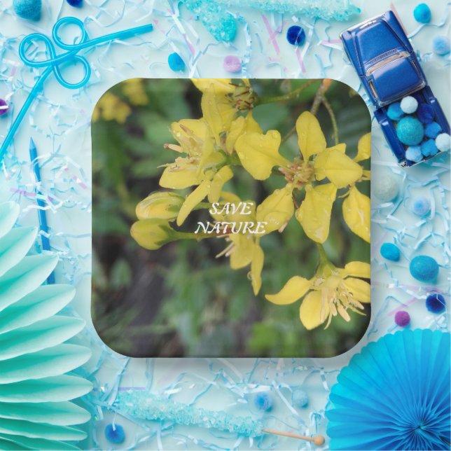 PAPER PLATE WITH NATURE PROTECTION MESSAGE (Party)