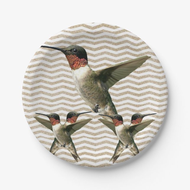 Paper plates Bird (Front)