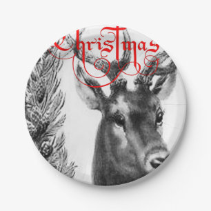 Paper plates Christmas