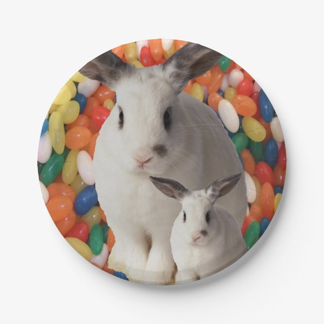 Paper plates Easter (Front)