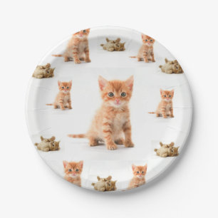 Paper Plates Kitten