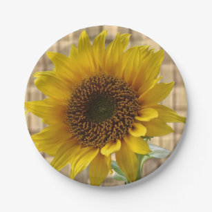 Paper plates Sunflowers