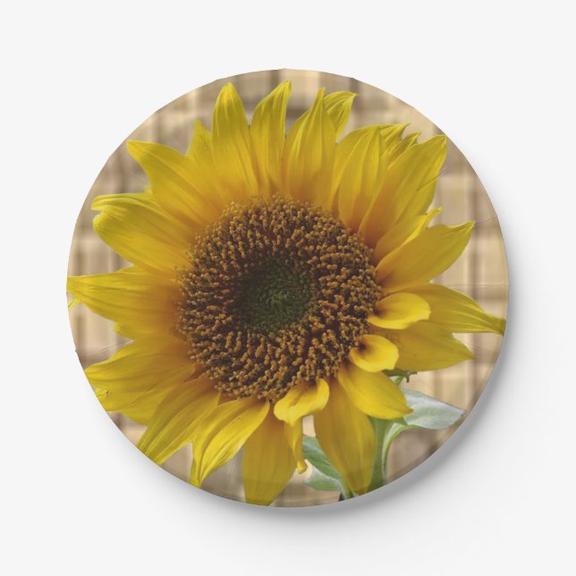 Paper plates Sunflowers (Front)
