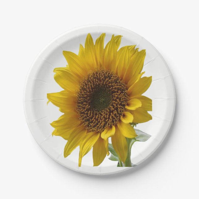 Paper plates Sunflowers (Front)