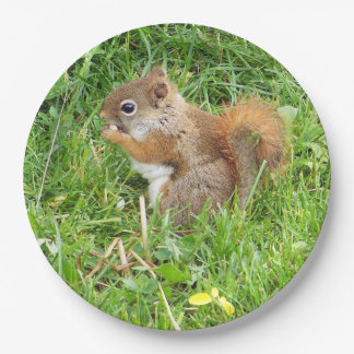 Paper Plates " Themed, Beautful Red Squirrel "