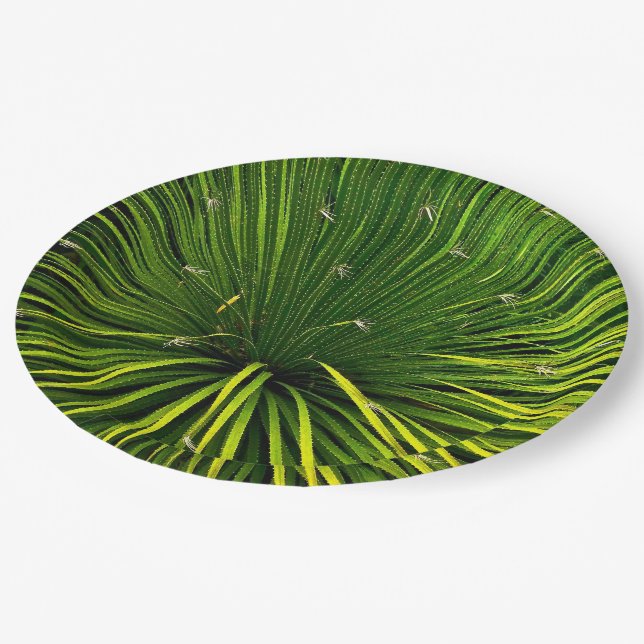 PAPER PLATES WITH GREEN SOTOL PLANT (Angled)
