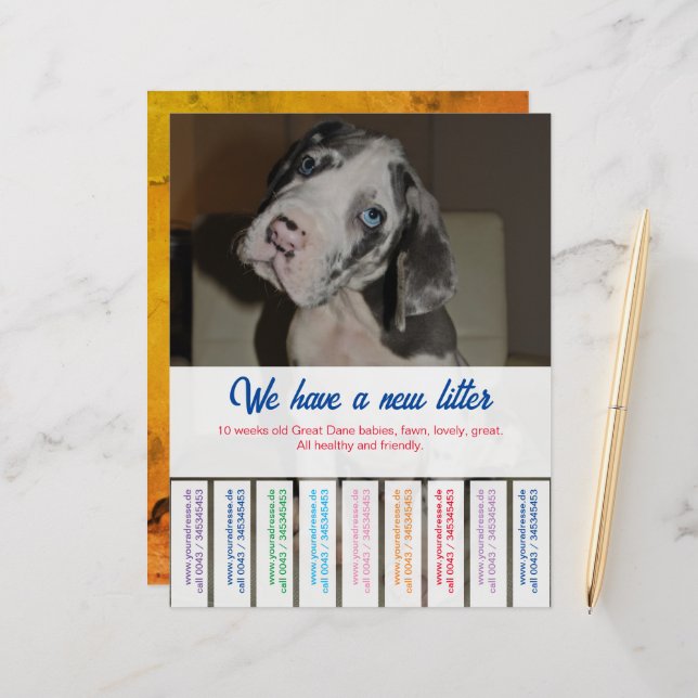 Paper Sheet (Front/Back In Situ)