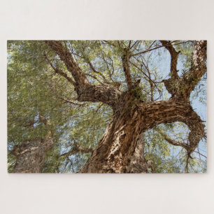 Paper Thorn Tree - Look Up Jigsaw Puzzle