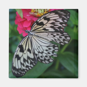 Paperkite Butterfly Magnet