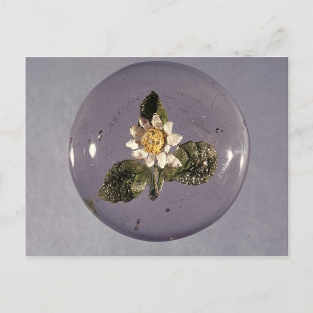 Paperweight, Pantin Workshop, c.1850 Postcard (Front)