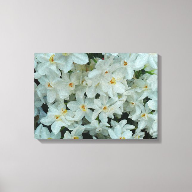 Paperwhite Narcissus Delicate White Flowers Canvas Print (Front)