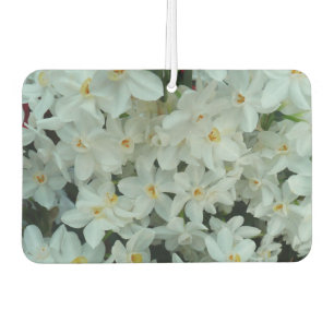 Paperwhite Narcissus Delicate White Flowers Car Air Freshener