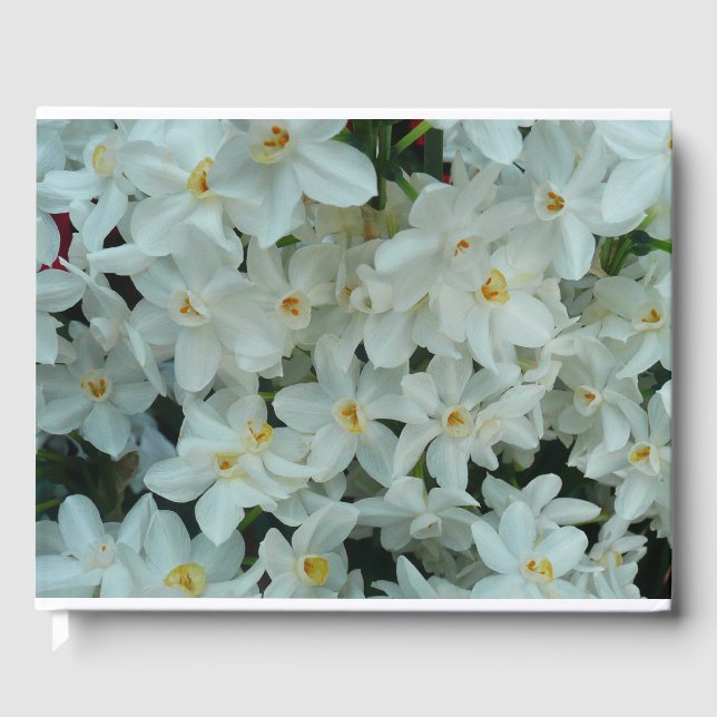Paperwhite Narcissus Delicate White Flowers Guest Book (Front)