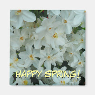 Paperwhite Narcissus Delicate White Flowers Magnet