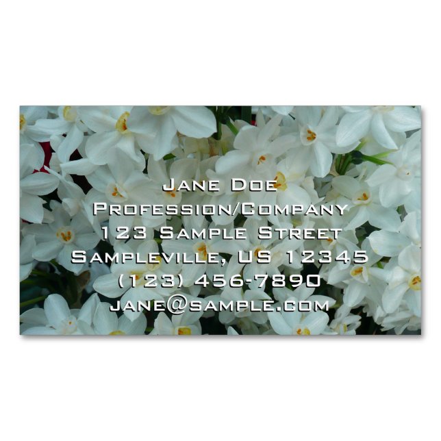 Paperwhite Narcissus Delicate White Flowers Magnetic Business Card (Front)