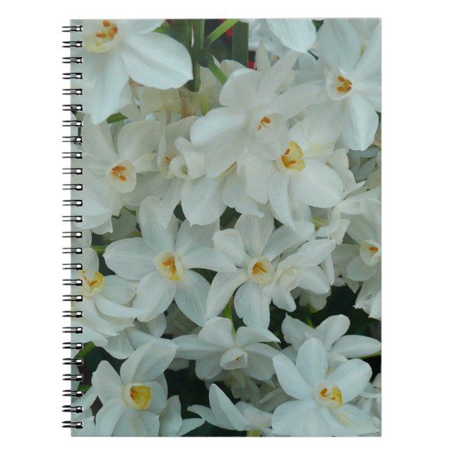 Paperwhite Narcissus Delicate White Flowers Notebook (Front)