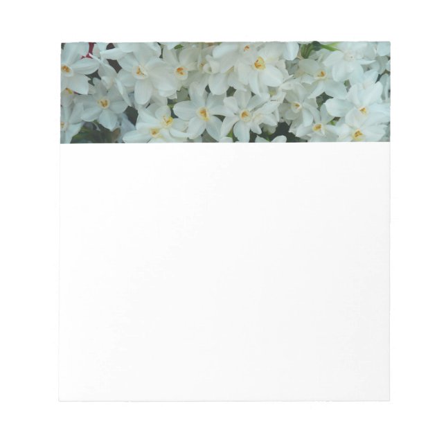 Paperwhite Narcissus Delicate White Flowers Notepad (Front)