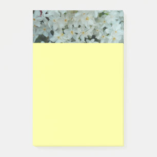 Paperwhite Narcissus Delicate White Flowers Post-it Notes