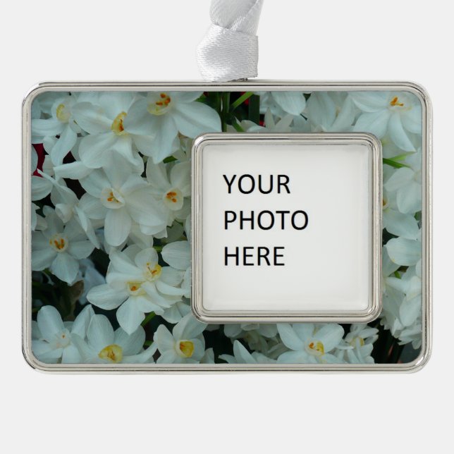 Paperwhite Narcissus Delicate White Flowers Silver Plated Framed Ornament (Front)