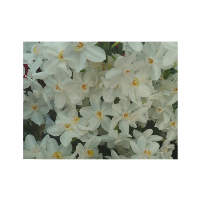 Paperwhite Narcissus Delicate White Flowers Wood Poster (Front)