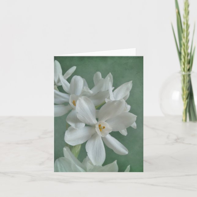 Paperwhite Narcissus Note Card (Front)
