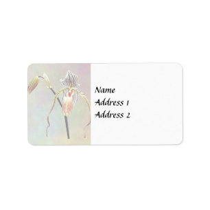 Paph Taiwan Orchid Label