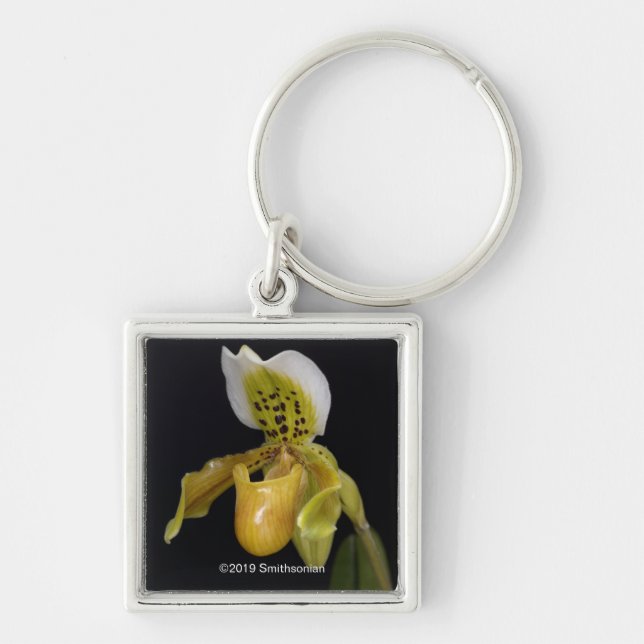Paphiopedilum Exul Key Ring (Front)