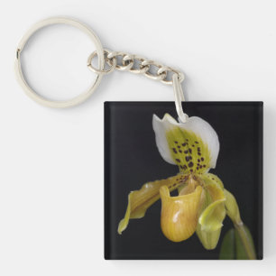 Paphiopedilum Exul Key Ring
