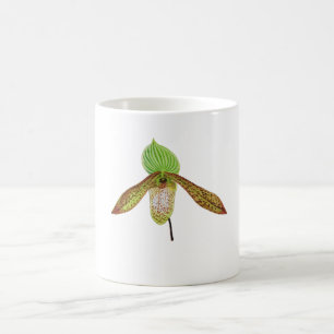 Paphiopedilum Orchid Botanical Watercolor Painting Coffee Mug