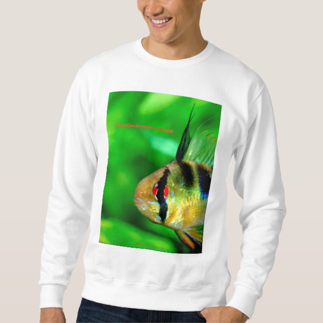 Papilio Cromis Ramisey Sweatshirt (Front)