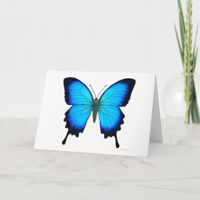Papilio Ulysses Butterfly Card (Front)